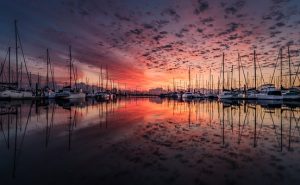 bateau occasion