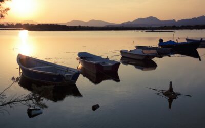 Les barques de pêche : une introduction aux différents types de barques pour la pêche en mer