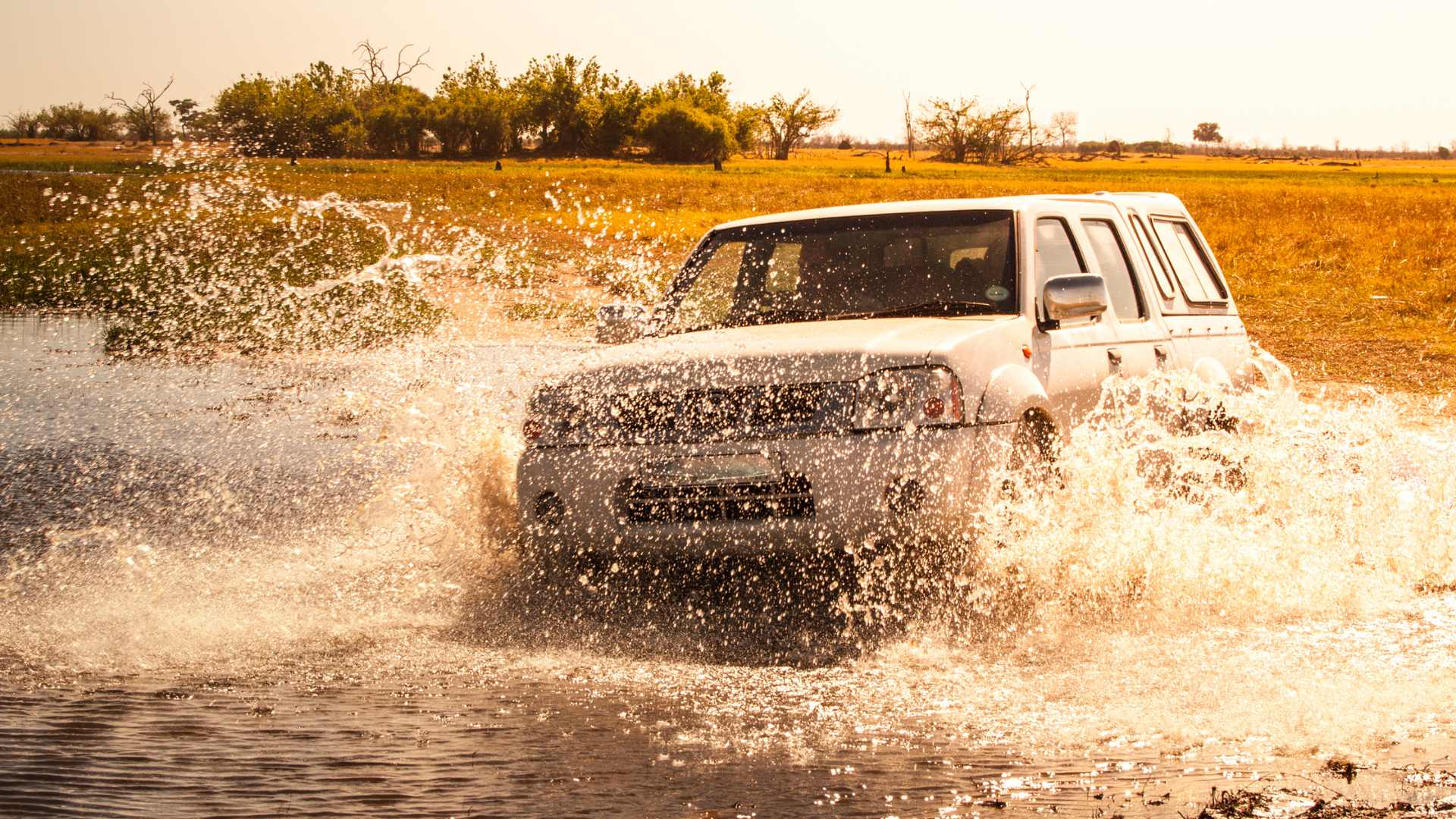 Ford