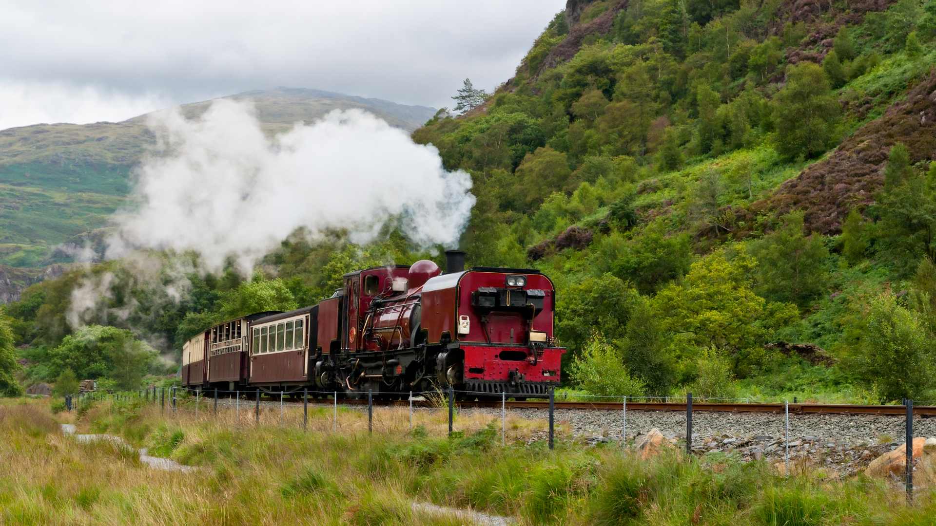 train à vapeur