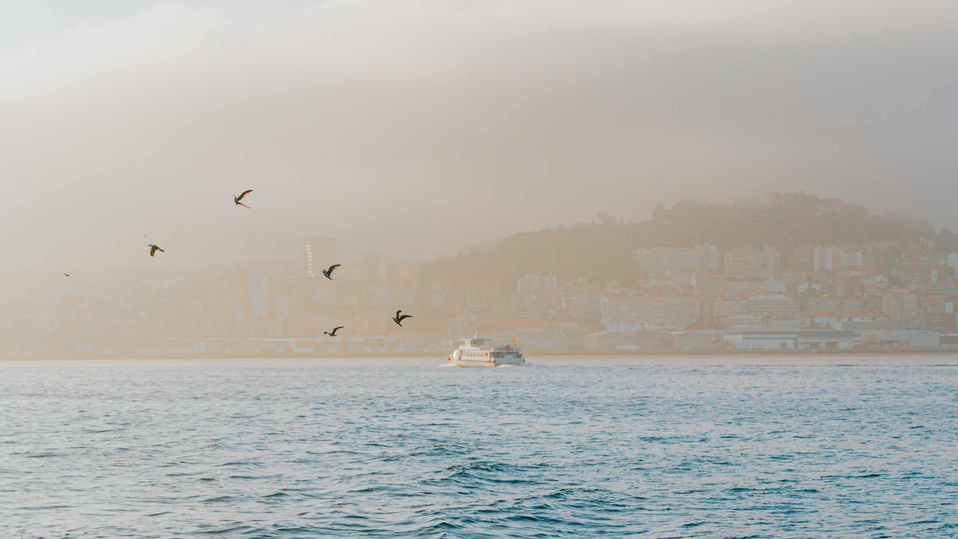 Bateau sur l'eau